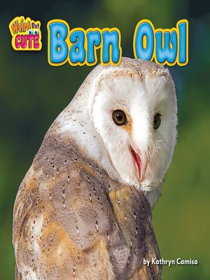 cover image of Barn Owl